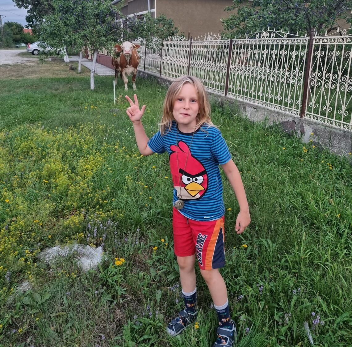 vara in Romania